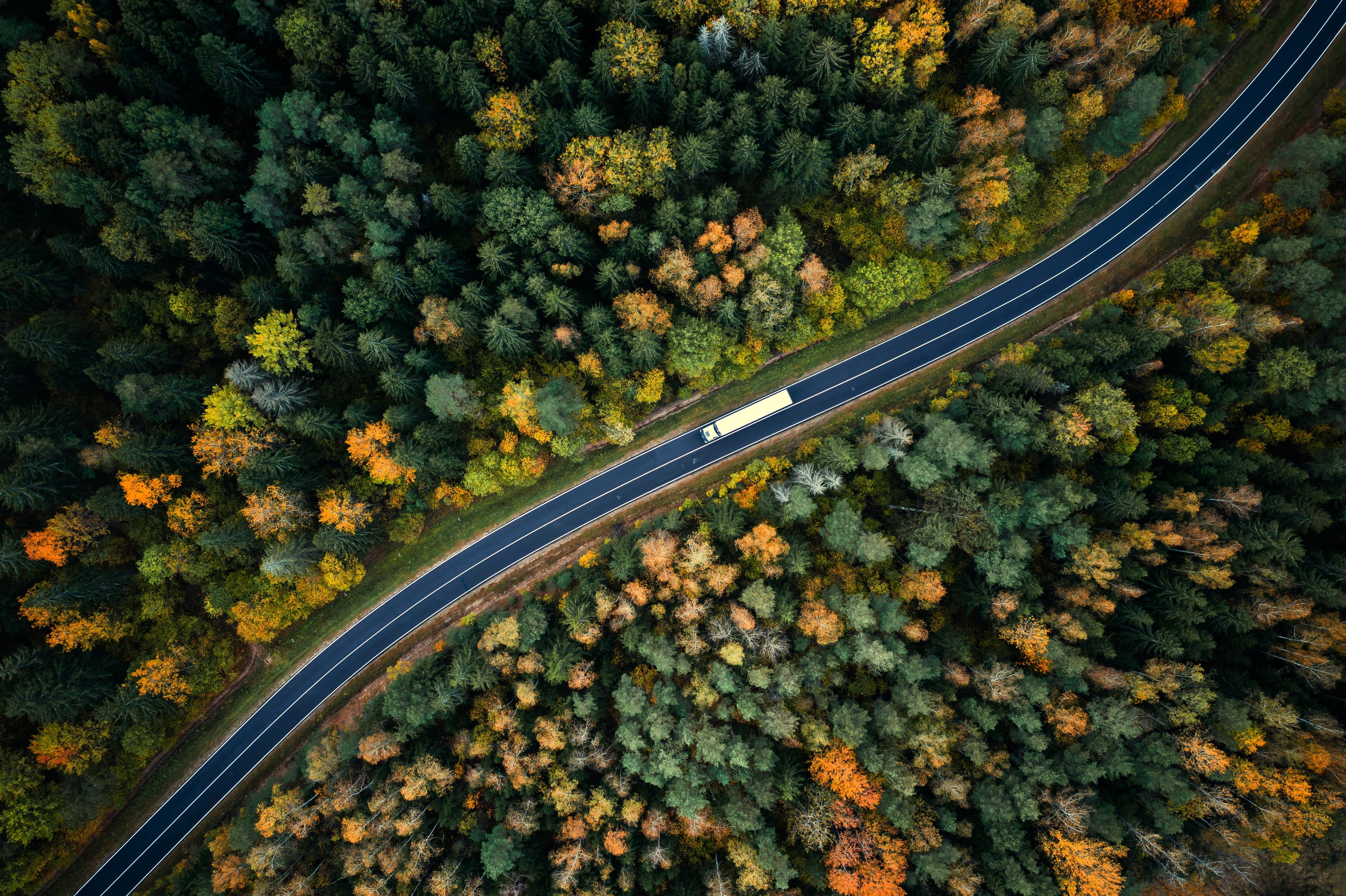 Aufnahme eines Waldes von oben. Straße durchquert den Wald diagonal. LKW fährt über die Straße.